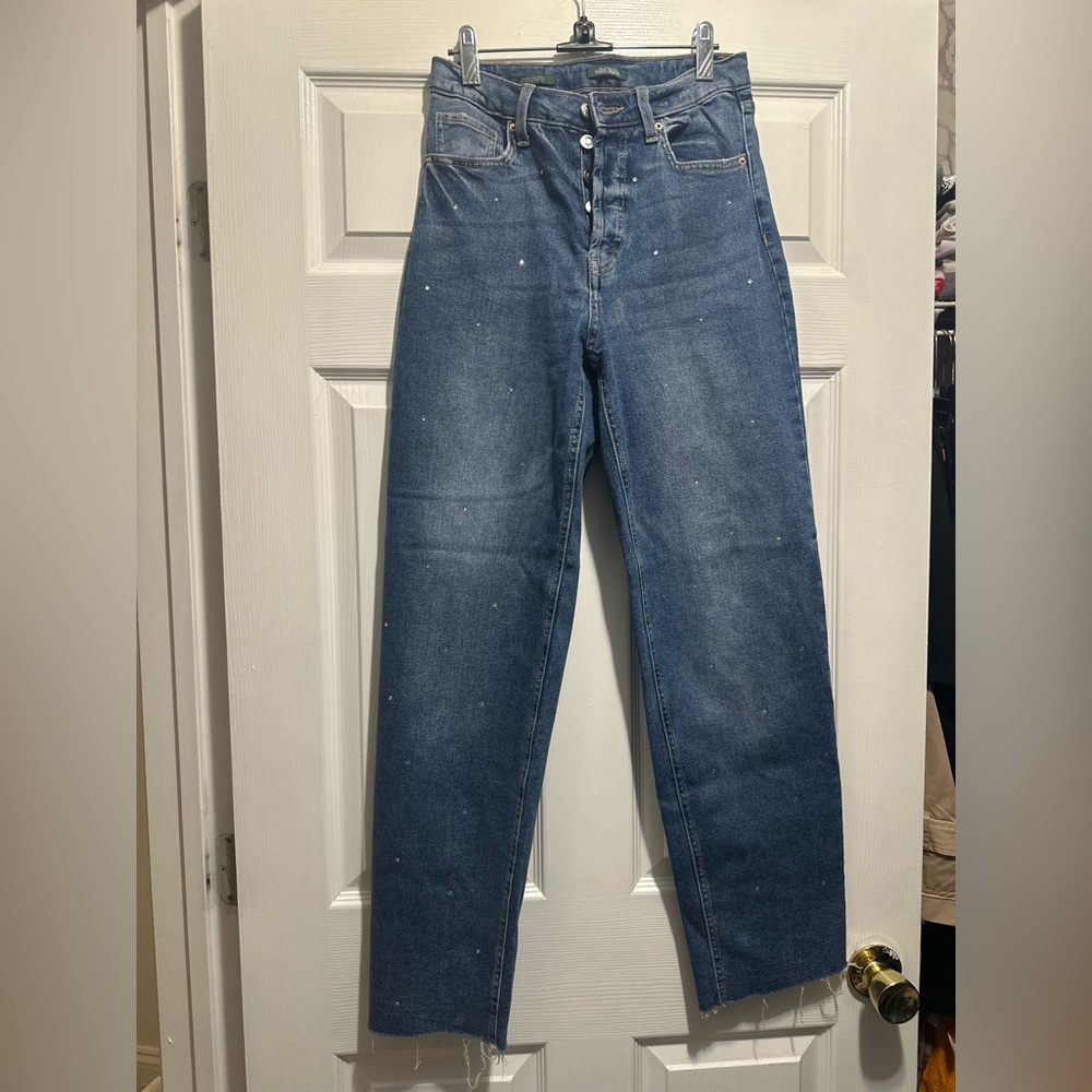 Wild Fable Blue Men's Jeans